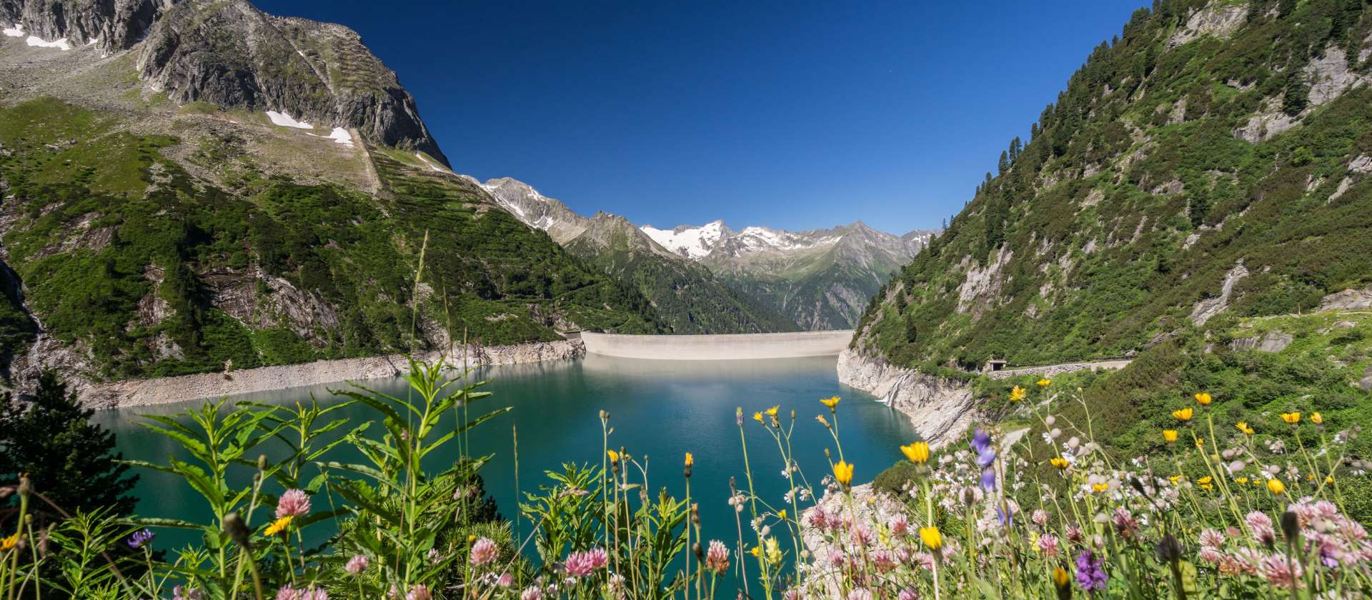 Zillergrund